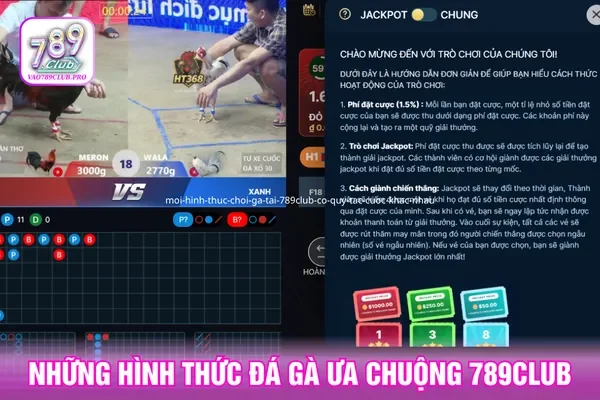 Mỗi hình thức chọi gà tại 789Club có quy tắc cược khác nhau