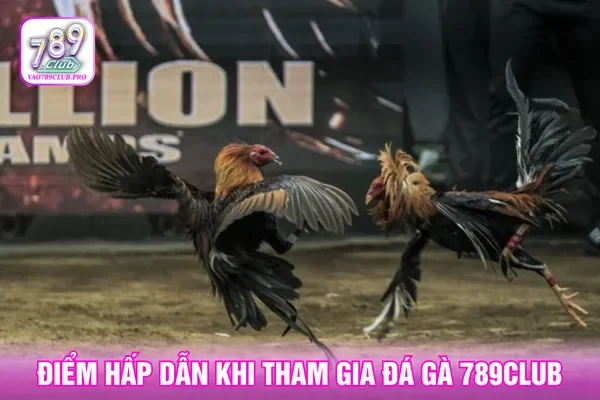 Nhiều kèo cược để người chơi nâng cao cơ hội thắng đá gà