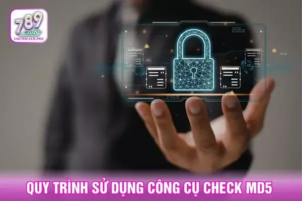 Quy trình sử dụng công cụ check MD5 chi tiết