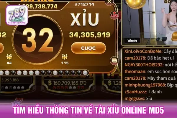 Tài Xỉu MD5 - Khám Phá Cơ Chế Mã Hóa Và Cách Hoạt Động